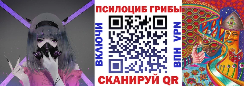 blacksprut ссылки  Тара  Псилоцибиновые грибы мицелий 